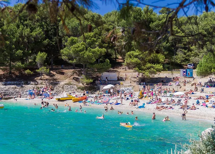 아파트 Jellyfish 풀라