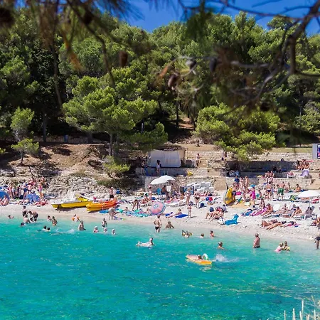 Apartman Jellyfish Póla